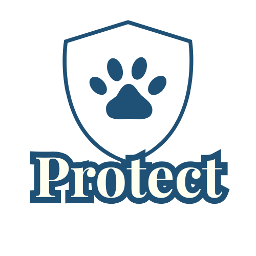 Protect (The Ergonomic & Physical Wellness Collection)