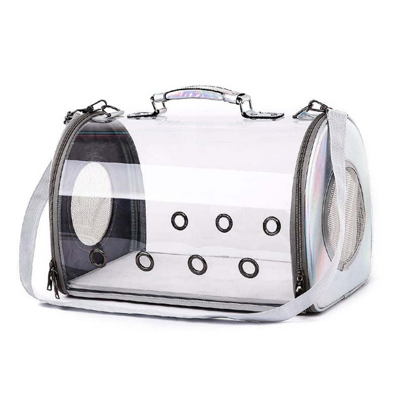 The Clarity: Iridescent Panoramic Travel Capsule