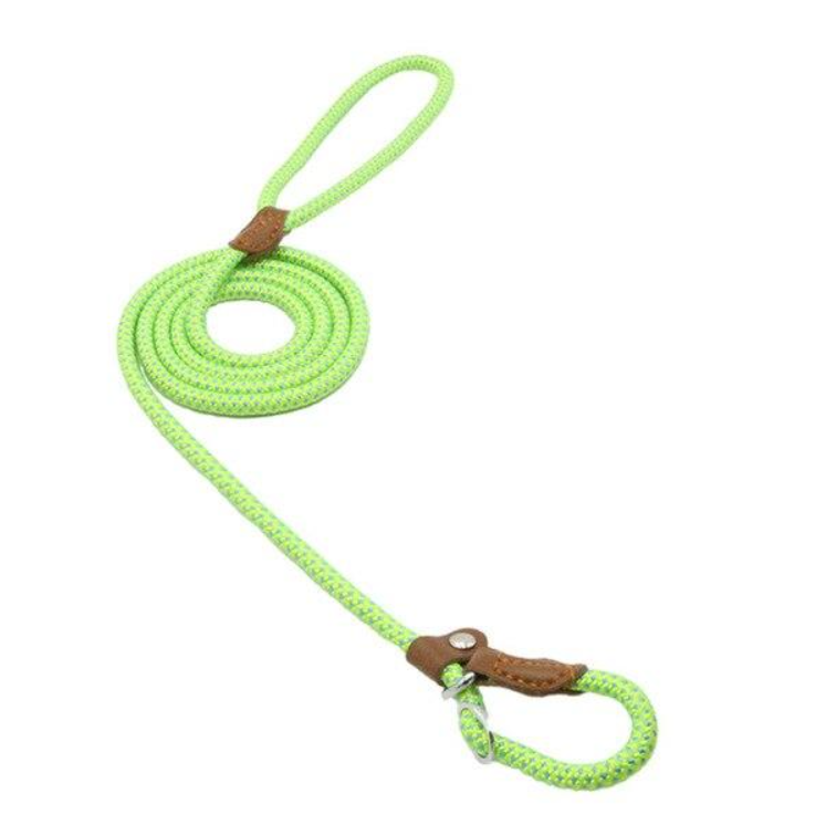 EverFit Premium Nylon Collar & Lead Set