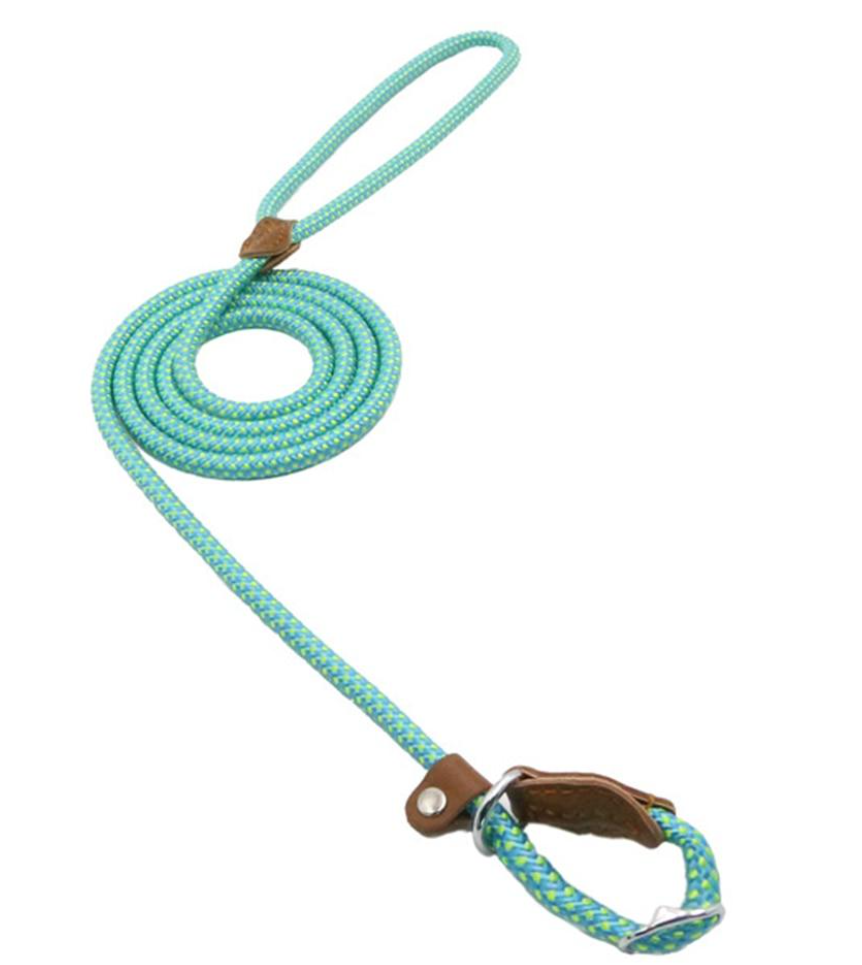 EverFit Premium Nylon Collar & Lead Set