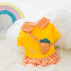 Cute Cartoon Pet Clothes for Autumn and Winter