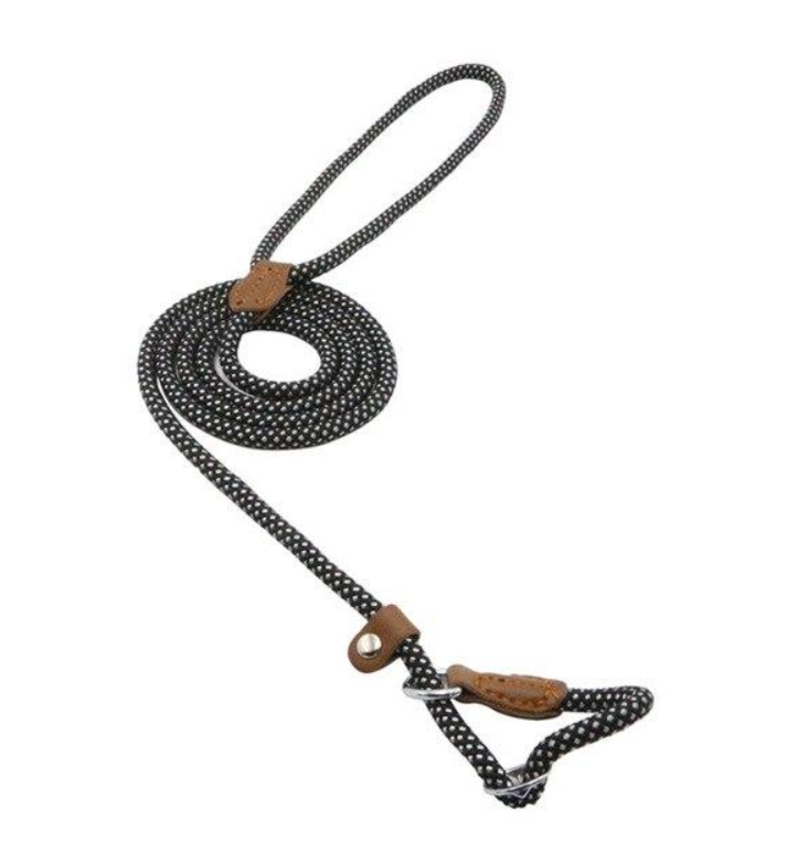 EverFit Premium Nylon Collar & Lead Set