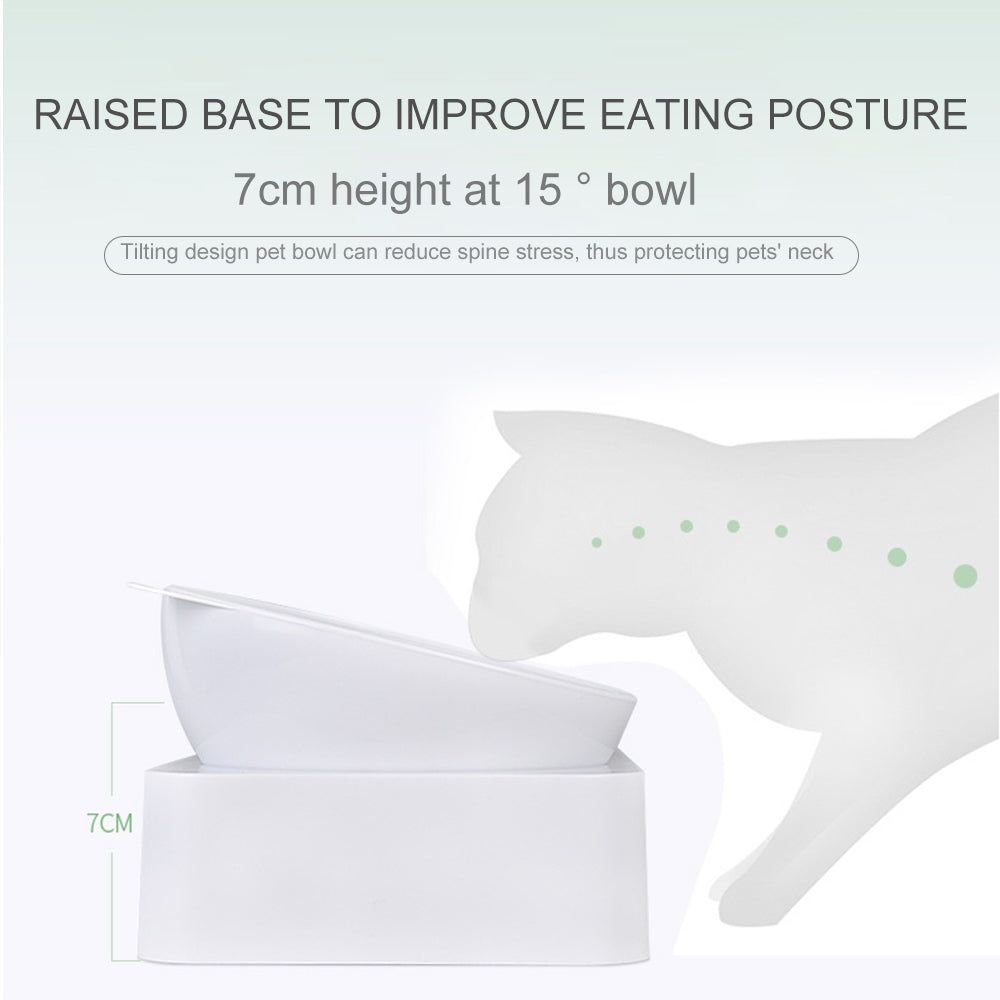 ErgoFeeder 15° Raised Pet Food & Water Station