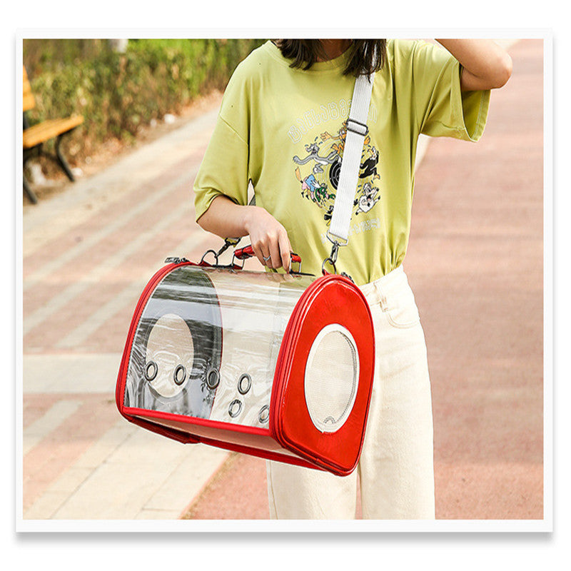 The Clarity: Iridescent Panoramic Travel Capsule