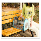 The Clarity: Iridescent Panoramic Travel Capsule