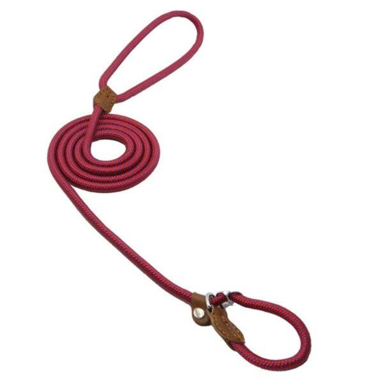 EverFit Premium Nylon Collar & Lead Set