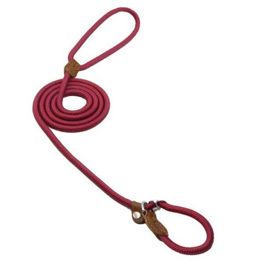 EverFit Premium Nylon Collar & Lead Set