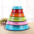 Stainless Steel Dog Bowl with Colorful Print