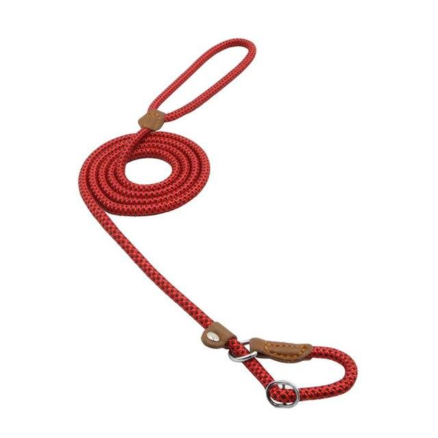 EverFit Premium Nylon Collar & Lead Set