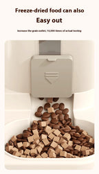 The Auto Flow Water & Food Dispenser