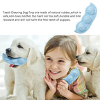 The Smile Pea Dental Chew Toy