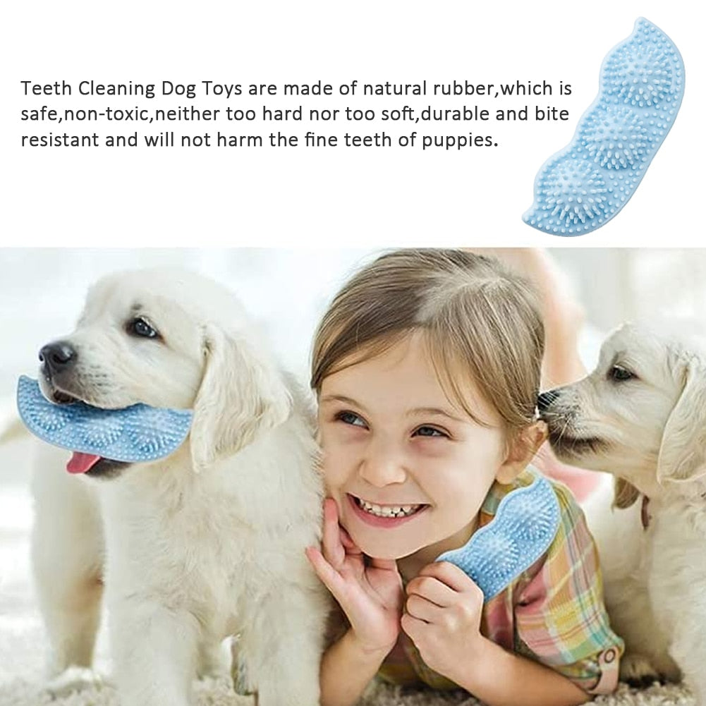 The Pod: 360° Dental Enrichment & Grinding Chew