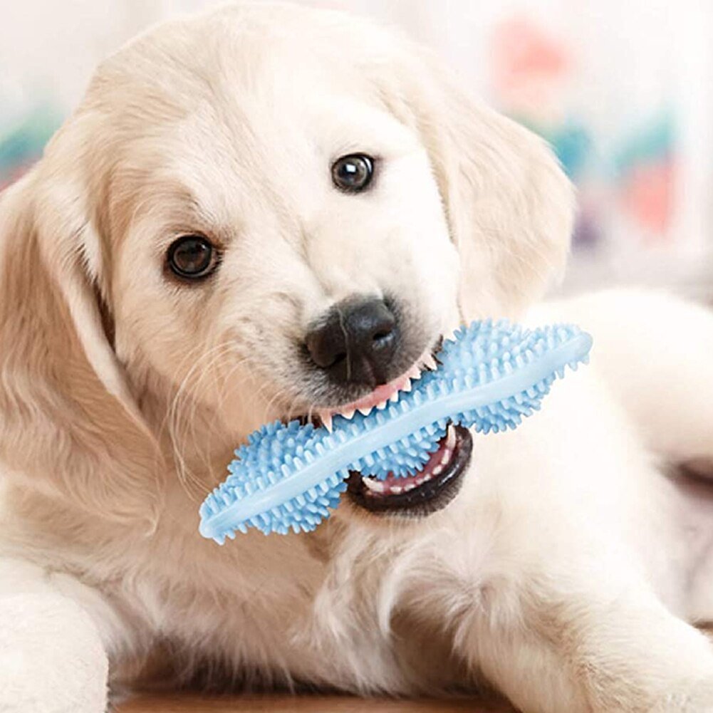 The Pod: 360° Dental Enrichment & Grinding Chew
