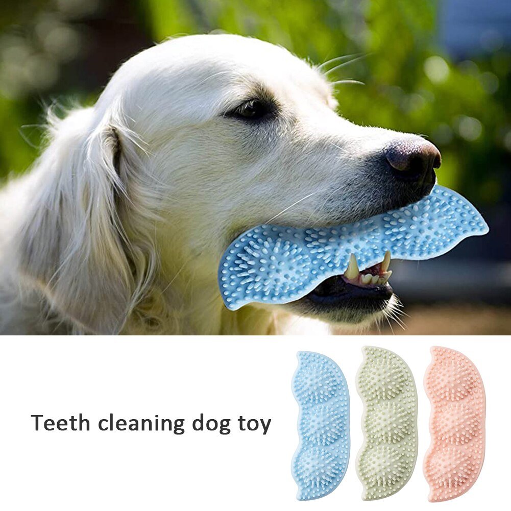 The Pod: 360° Dental Enrichment & Grinding Chew