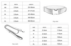 GlamPaws Bowtie Collar & Leash Set