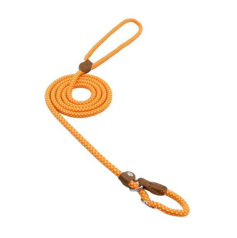 EverFit Premium Nylon Collar & Lead Set